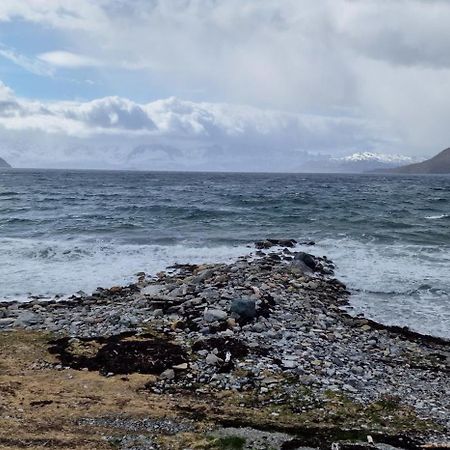Burfjord Arctic Fjordcamp酒店 外观 照片