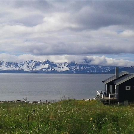 Burfjord Arctic Fjordcamp酒店 外观 照片