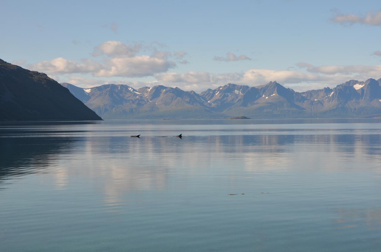 Burfjord Arctic Fjordcamp酒店 外观 照片
