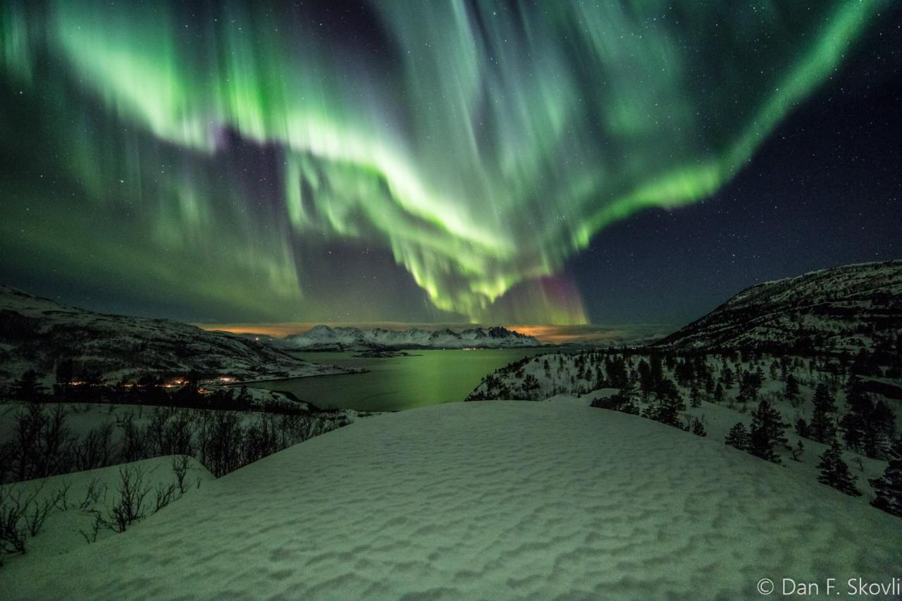 Burfjord Arctic Fjordcamp酒店 外观 照片